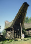sulawesi - traditional longhouse 2.jpg